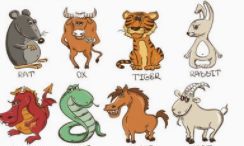 【每日生肖运】5月27日 周一