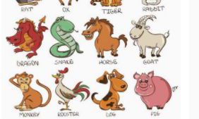 他妈说我俩属相不对