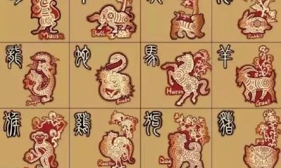 十二属相各有各的命，看看你的如何？