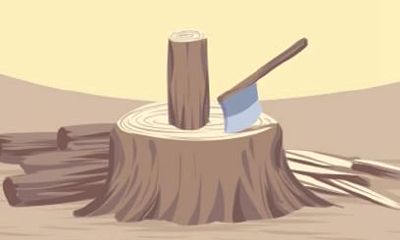 1985属牛36岁本命年要注意什么