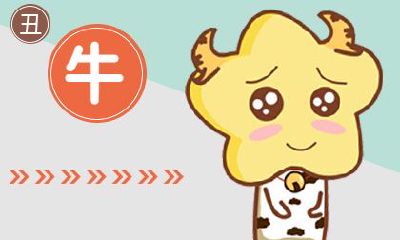 九七年属牛的是什么命 生肖97属牛人的命运