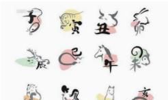 你和哪个生肖最配？上等婚配有钱又有福！