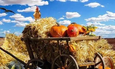 12星座2019年9月运势早播报