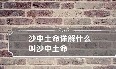 沙中土命详解 什么叫沙中土命?