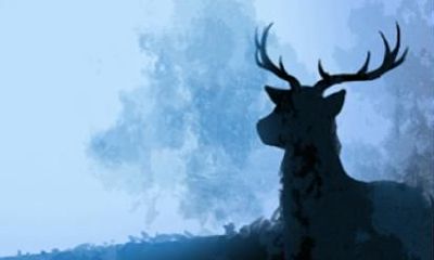 几月出生的牛克父母 属牛和什么生肖相冲