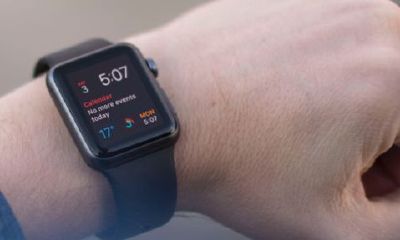 长在哪里的毛叫发财毛？