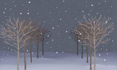 1985属牛一生运势如何 85属牛人是什么命