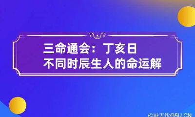 三命通会：丁亥日不同时辰生人的命运解析