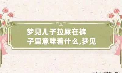 梦见儿子拉屎在裤子里意味着什么,梦见儿子小时候拉屎在裤子里