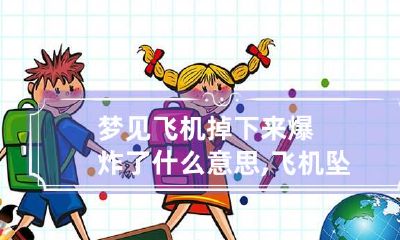 梦见飞机掉下来爆炸了什么意思,飞机坠落爆炸