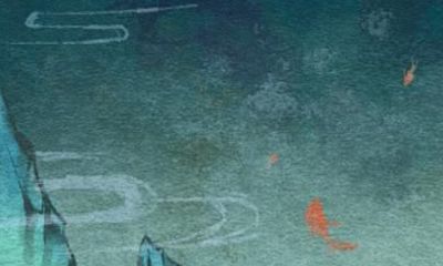 属牛人的幸运花是什么 适合种什么植物