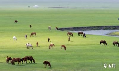 2023年兔年适不适合属马人跟属狗人结婚？