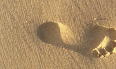 分析四种脚型的命运