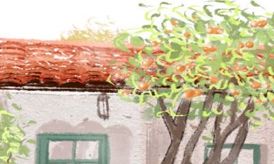 分析属牛人2017年运势是怎样的呢