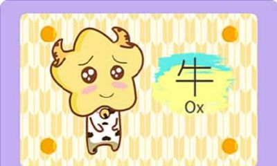 1973年属牛女2021年婚姻运势 48岁属牛女的运势