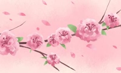 1997属牛2021每月运势 属牛的人2021