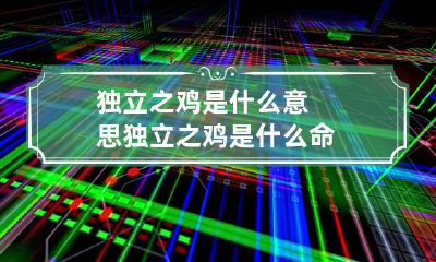 独立之鸡是什么意思 独立之鸡是什么命