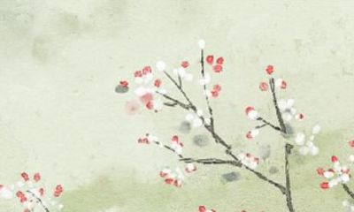 1985年的牛什么时候翻身 属牛人的运势