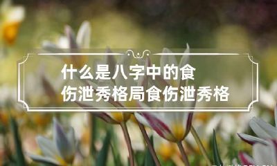 什么是八字中的食伤泄秀格局 食伤泄秀格局高不高