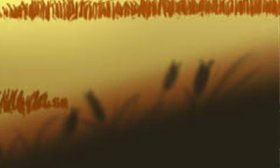 属牛女真命天子是哪个生肖