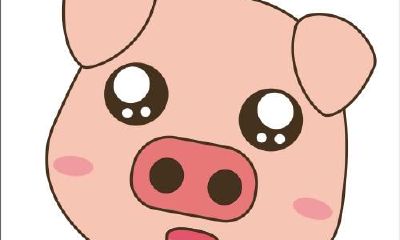 十二生肖的故事：猪