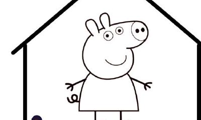 古代人怎么会钦佩猪？猪为何能进十二生肖？