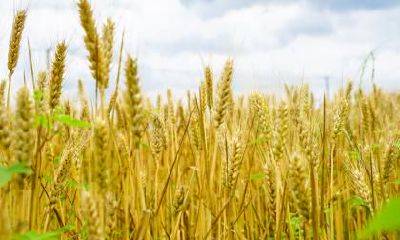 2019年大雪节气出生吉祥如意的男孩名字八字缺土取名！