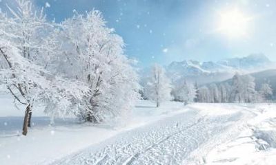 2019年大雪八字缺木的女孩子100分名字精选