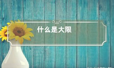 什么是大限