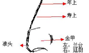 男人鼻子长痣面相图解
