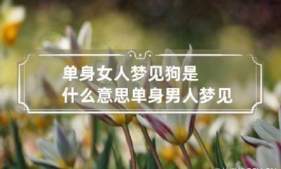 单身女人梦见狗是什么意思 单身男人梦见狗是什么意思