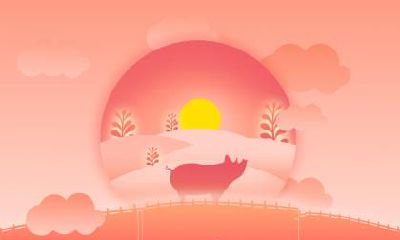 生肖猪双胞胎起名字大全2019年龙凤胎