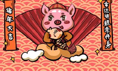 2019年双胞胎生肖猪宝宝起名宝典