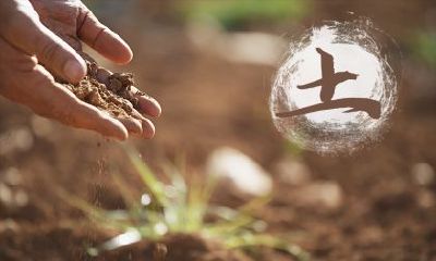 2020年元旦出生取名，五行缺木的名字大全