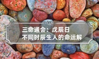 三命通会：戊辰日不同时辰生人的命运解析