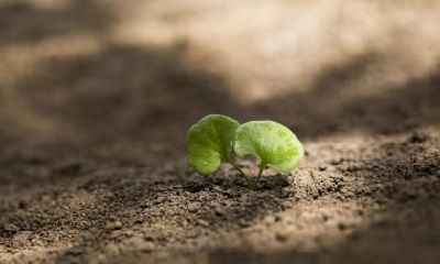 2020年元旦出生宝宝五行缺火的好听名字取名