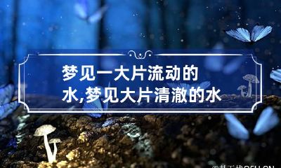 梦见一大片流动的水,梦见大片清澈的水域