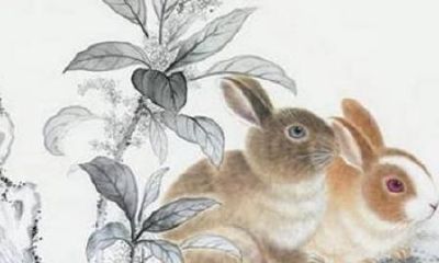 生肖兔2020年全年运程详析（男命）