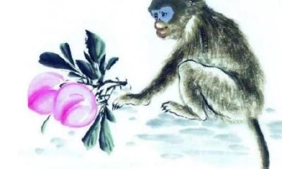 1992年属猴男2019年运势