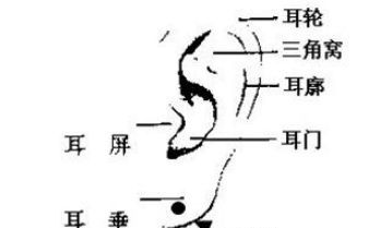 男人耳珠有痣代表什么