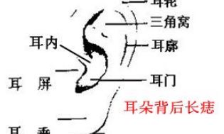 男人耳背有痣代表什么
