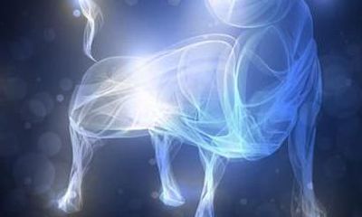 土像星座的专属对应药