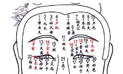 下巴长痣面相分析