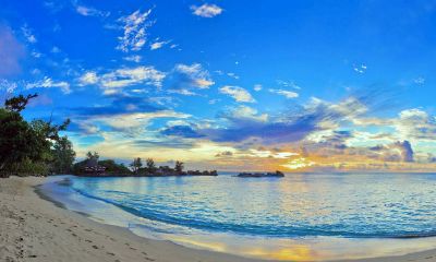 梦见大海和落日