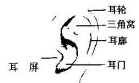 男人耳垂有痣代表什么