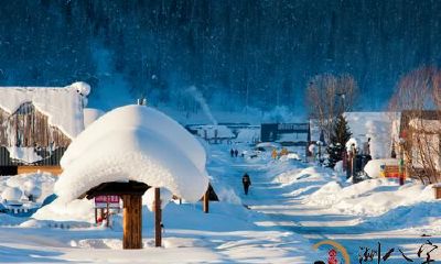 梦到房顶有降雪
