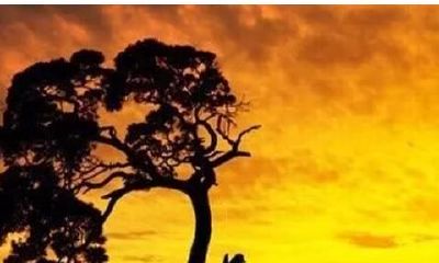 命理、不惑之境以及投资