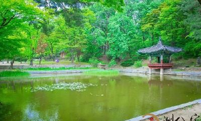 梦见池塘的水干了