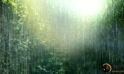 梦到天黑了雨天