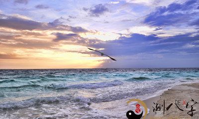 梦到多变的云朵